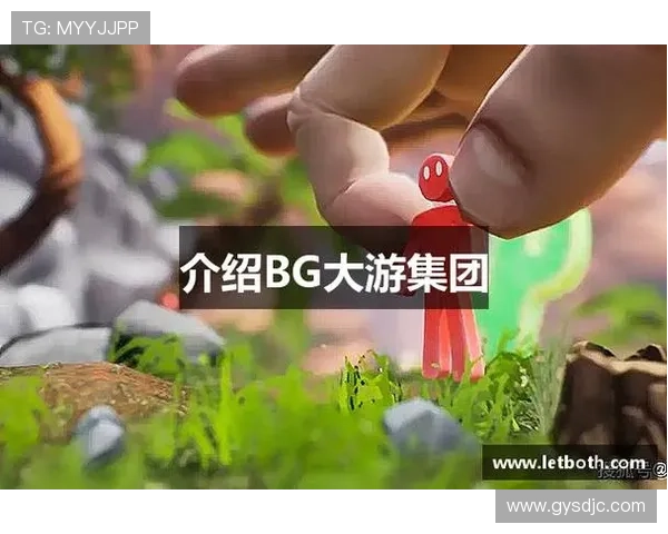 BG大游平台用户指南